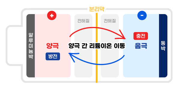 리튬이온 배터리 분리막 백터화